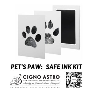 Pet's Paw Prints: Safe Ink Stamp Kit